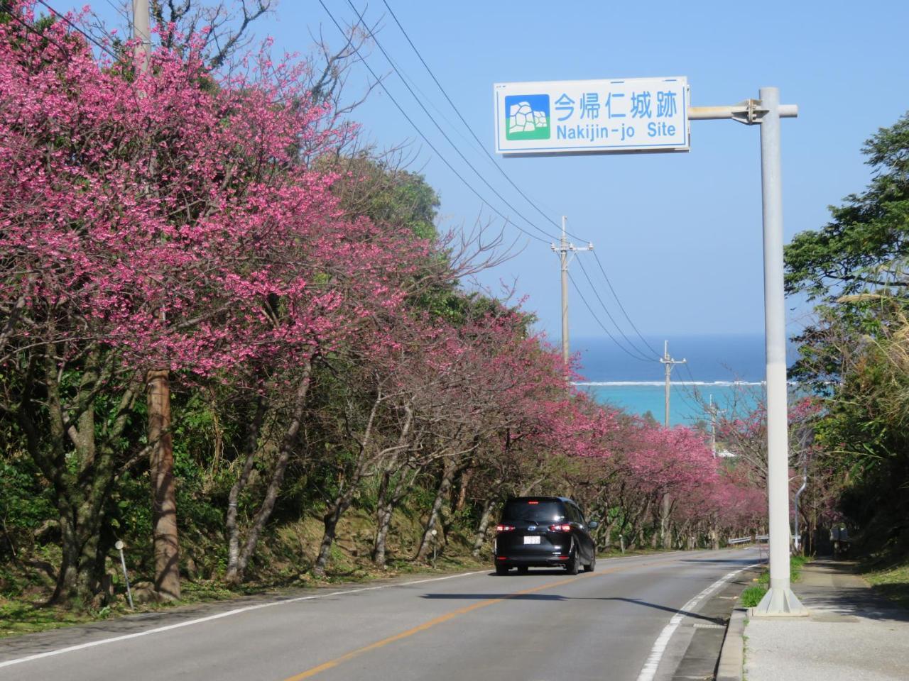 Okinawa Freedom Villa Nakijin Exteriör bild