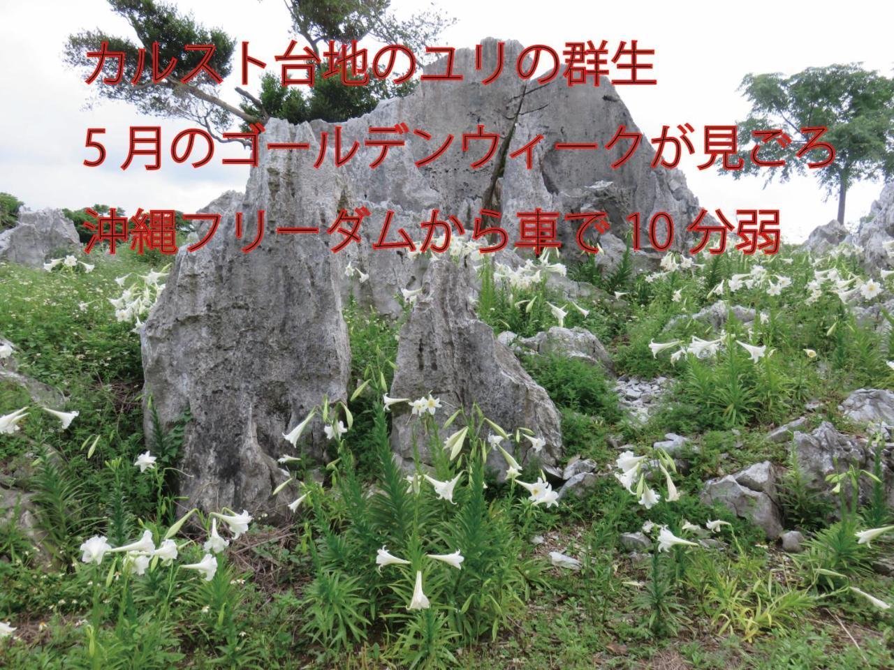 Okinawa Freedom Villa Nakijin Exteriör bild